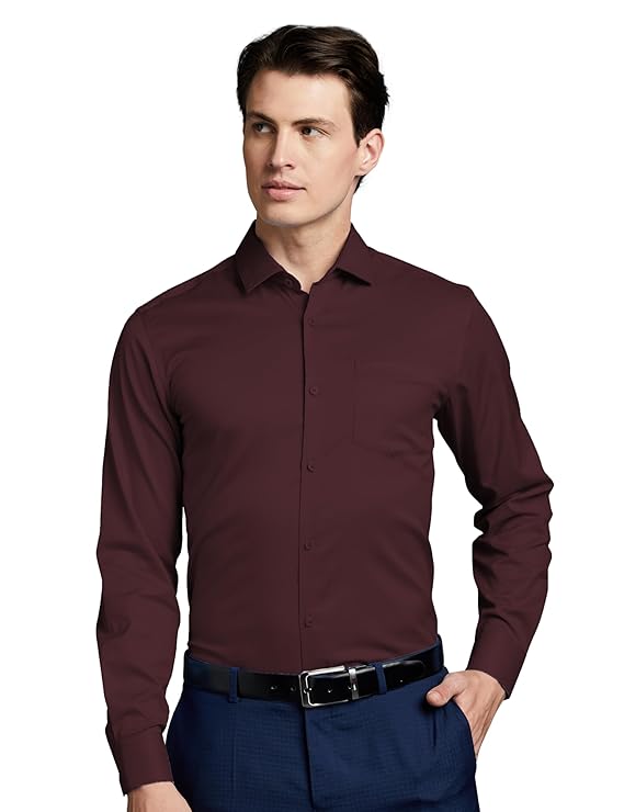 Men's Wrinkle-Resistant Regular Fit Cotton Formal Shirt